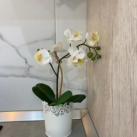 Mareverde Apart-hotel Costa Adeje (Tenerife)