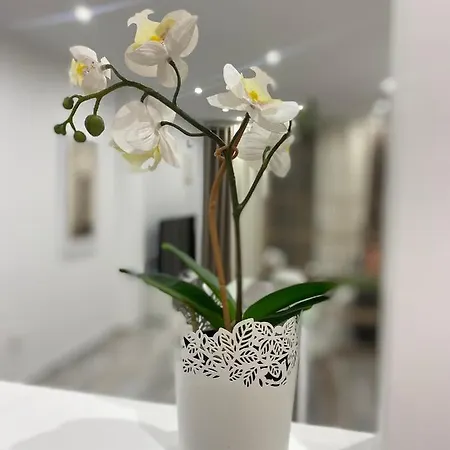 Mareverde Aparthotel Costa Adeje (Tenerife)