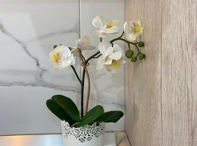 Mareverde Aparthotel Costa Adeje (Tenerife)